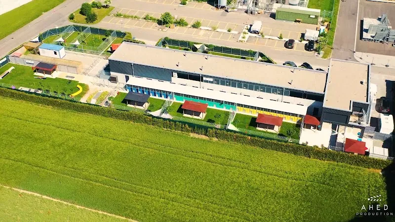 Tierhotel 5 Stern AG — Katzenpension in Niedergösgen, Solothurn. Bewertung 4.8/5.