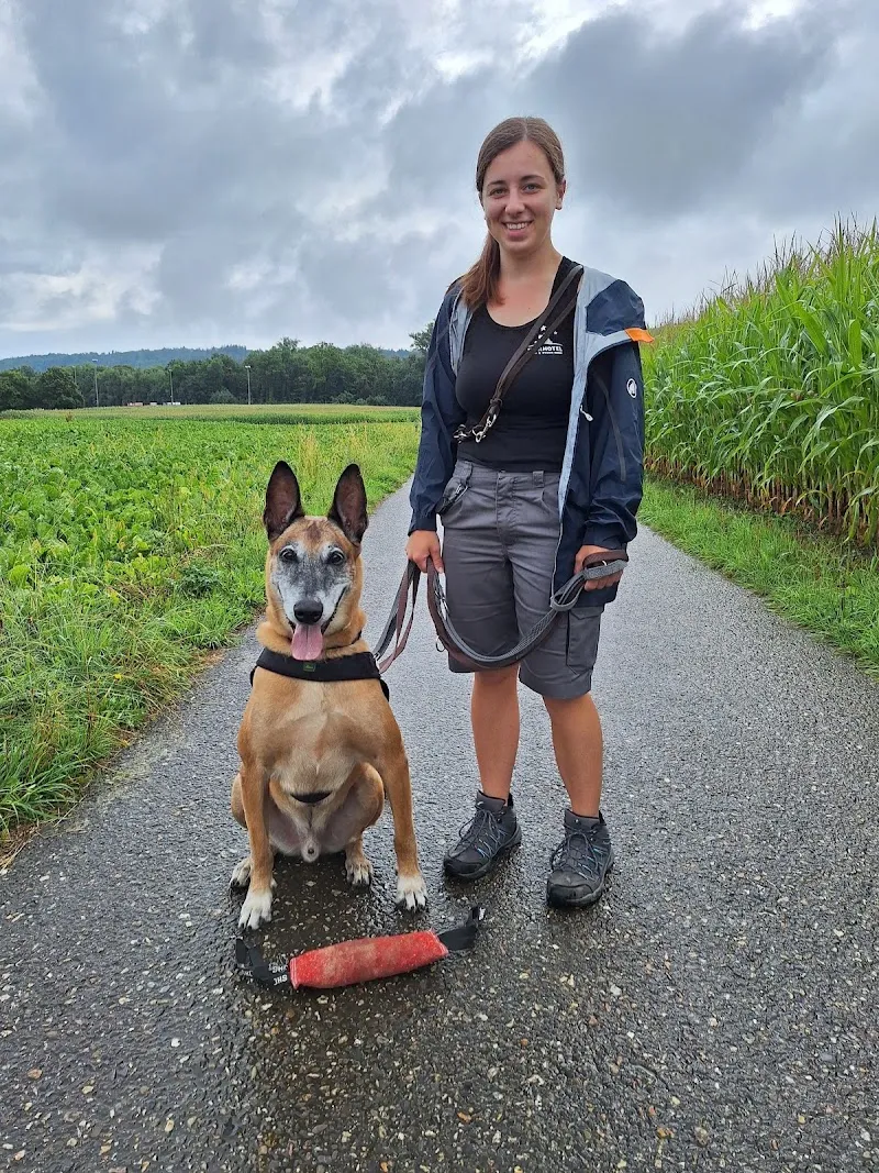 Tierhotel 5 Stern AG — Pensione per gatti, Niedergösgen, Soletta. Foto 2
