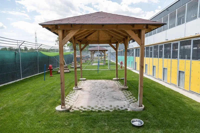 Tierhotel 5 Stern AG — Pensione per gatti, Niedergösgen, Soletta. Foto 3