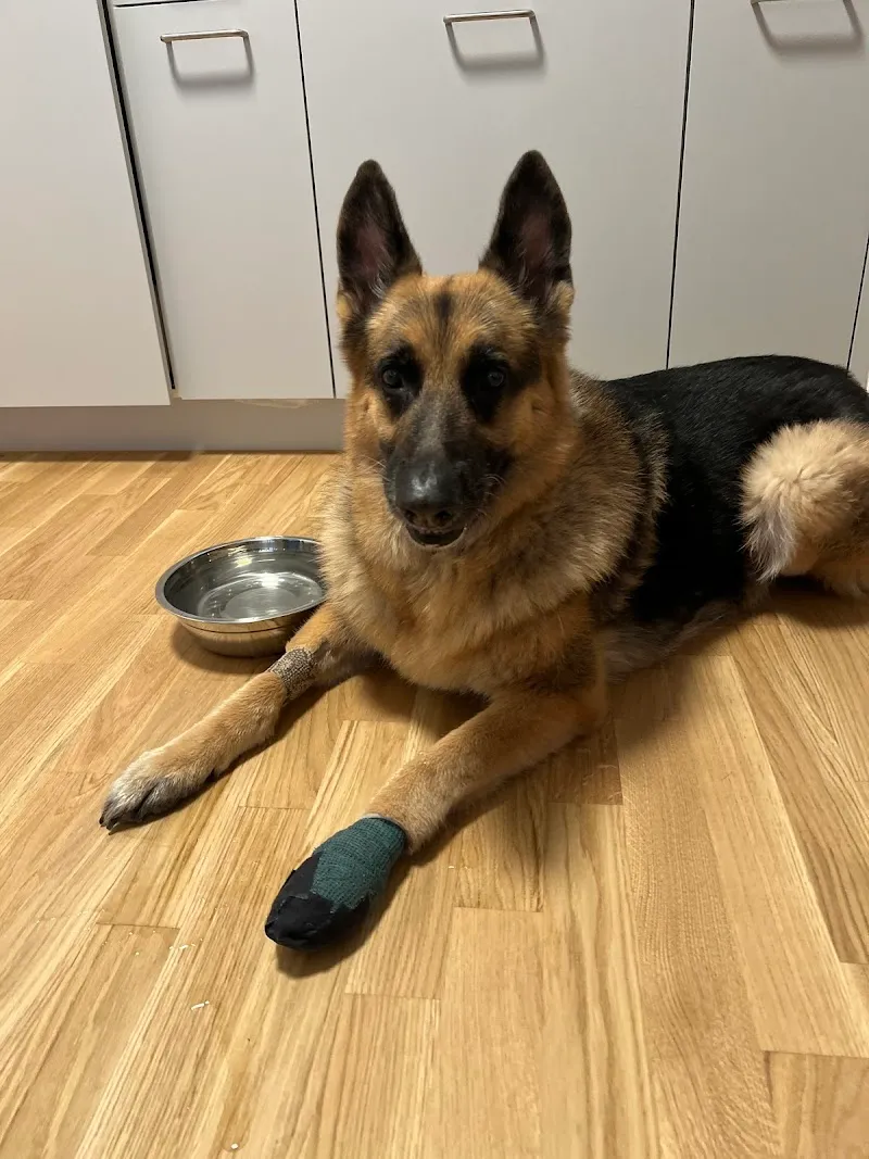 Kleintierpraxis Wydenhof — Tierarzt in Kriens, Luzern. Bewertung 4.8/5.