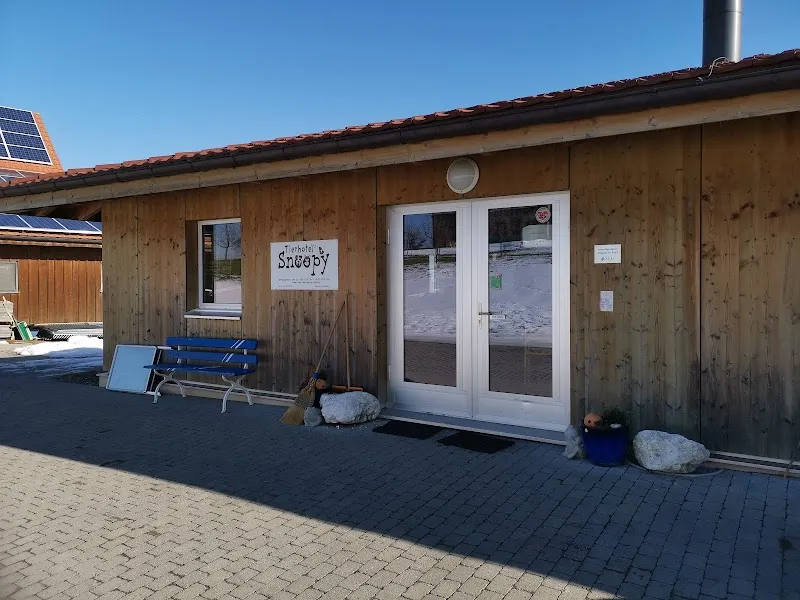 Tierhotel Snoopy — Katzenpension in Gunzwil, Luzern. Bewertung 4.8/5.