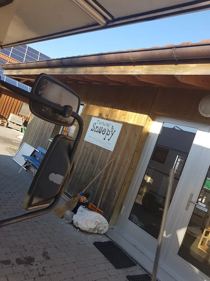 Tierhotel Snoopy — Katzenpension, Gunzwil, Luzern. Foto 2