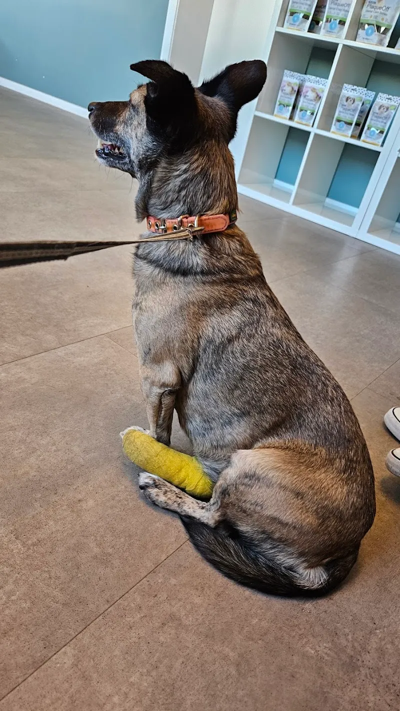 Schulthess Tierärzte — Tierarzt, Huttwil, Bern. Foto 2