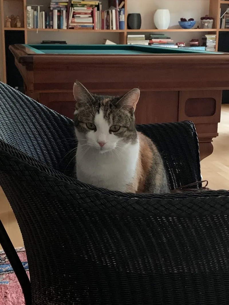 Schönau-Vets AG — Tierarzt in Udligenswil, Luzern. Bewertung 4.9/5.