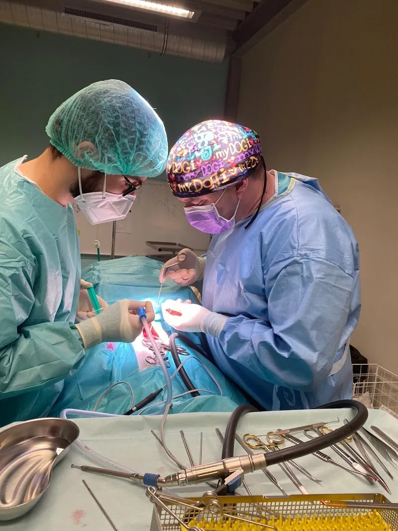 TierVetMobil - Mobile Kleintierpraxis — Tierarzt, Fahrwangen, Aargau. Foto 3