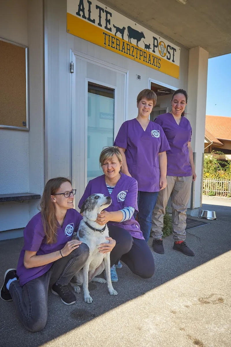 Tierarztpraxis Alte Post — Tierarzt in Kleindietwil, Bern. Bewertung 4.8/5.