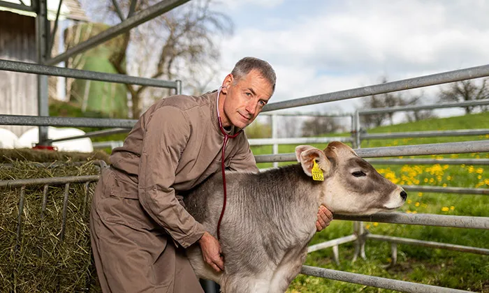 Tierarztpraxis Häller AG — Tierarzt in Buttisholz, Luzern. Bewertung 4.7/5.