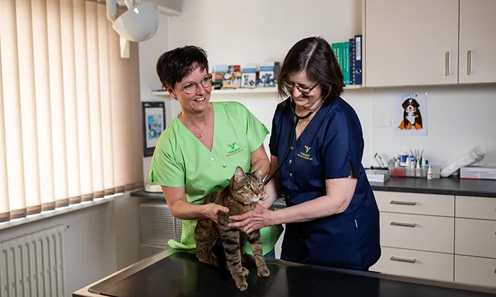 Tierarztpraxis Häller AG — Tierarzt, Buttisholz, Luzern. Foto 2