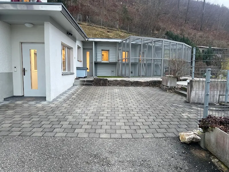 Tierliebi — Katzenpension in Balsthal, Solothurn. 