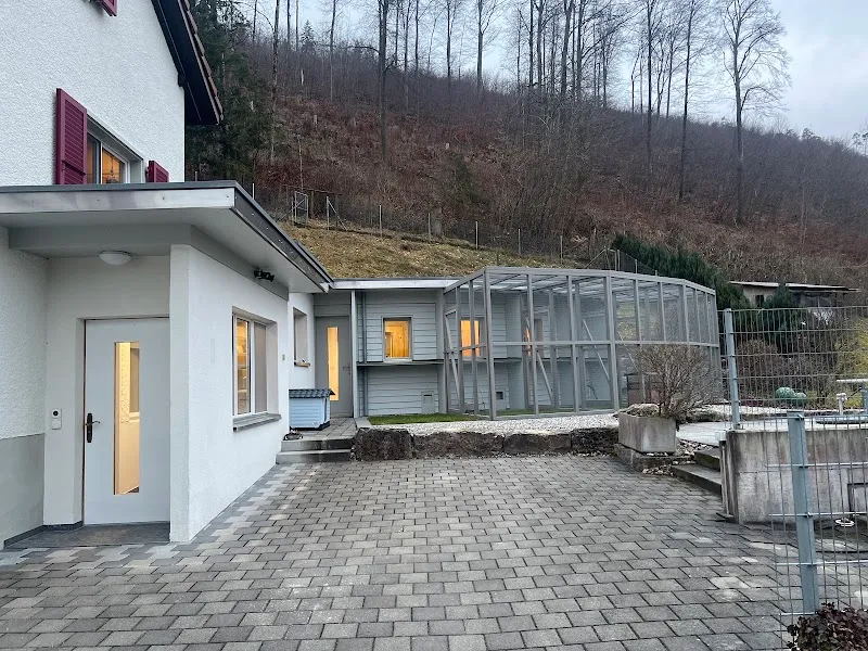 Tierliebi — Katzenpension, Balsthal, Solothurn. Foto 2