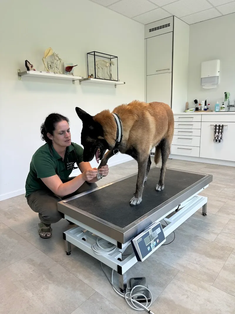 Tierarztpraxis Rigi Nord AG — Tierarzt in Küssnacht, Schwyz. Bewertung 5.0/5.