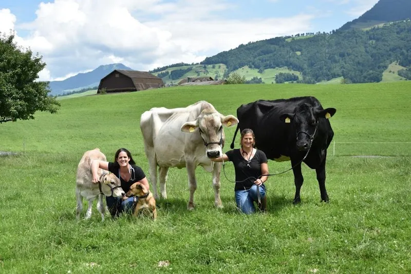 Tierarztpraxis Rigi Nord AG — Tierarzt, Küssnacht, Schwyz. Foto 2