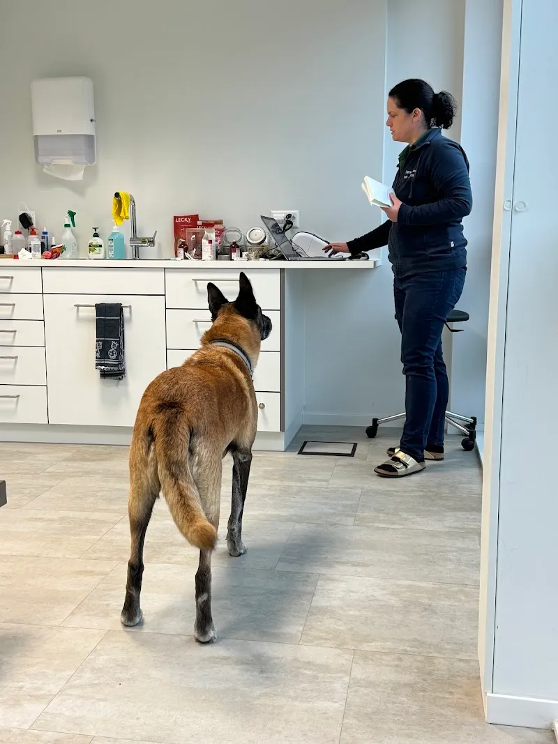 Tierarztpraxis Rigi Nord AG — Tierarzt, Küssnacht, Schwyz. Foto 3