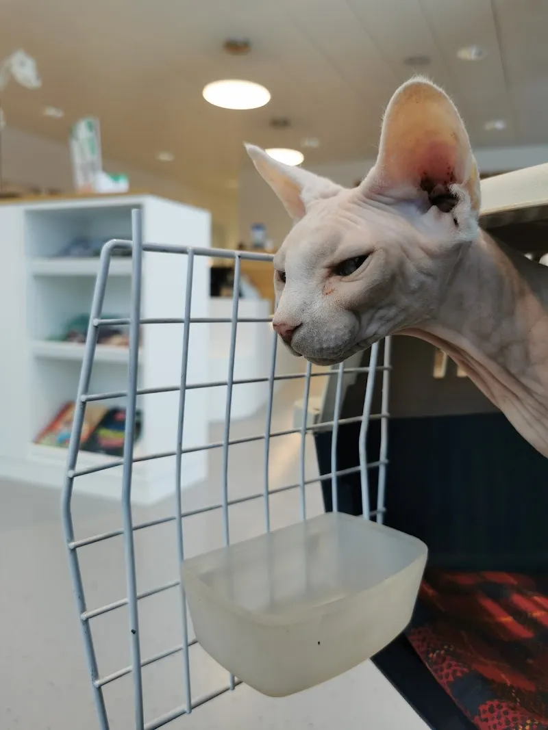 Tierarztpraxis Rothenburg AG — Tierarzt, Rothenburg, Luzern. Foto 2