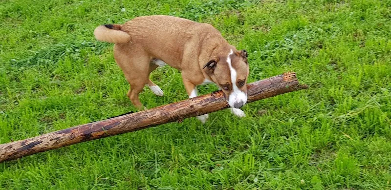 Tierarztpraxis Rothenburg AG — Tierarzt, Rothenburg, Luzern. Foto 3