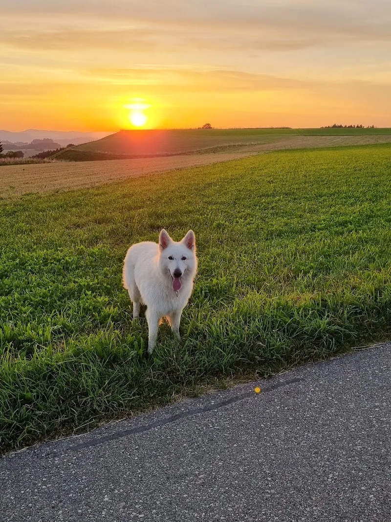 Tierarztpraxis Sonnmatt — Tierarzt in Zell, Luzern. Bewertung 4.4/5.