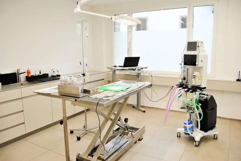 Tierarztpraxis am Rössliplatz AG — Veterinarian, Dagmersellen, Lucerne. Foto 2