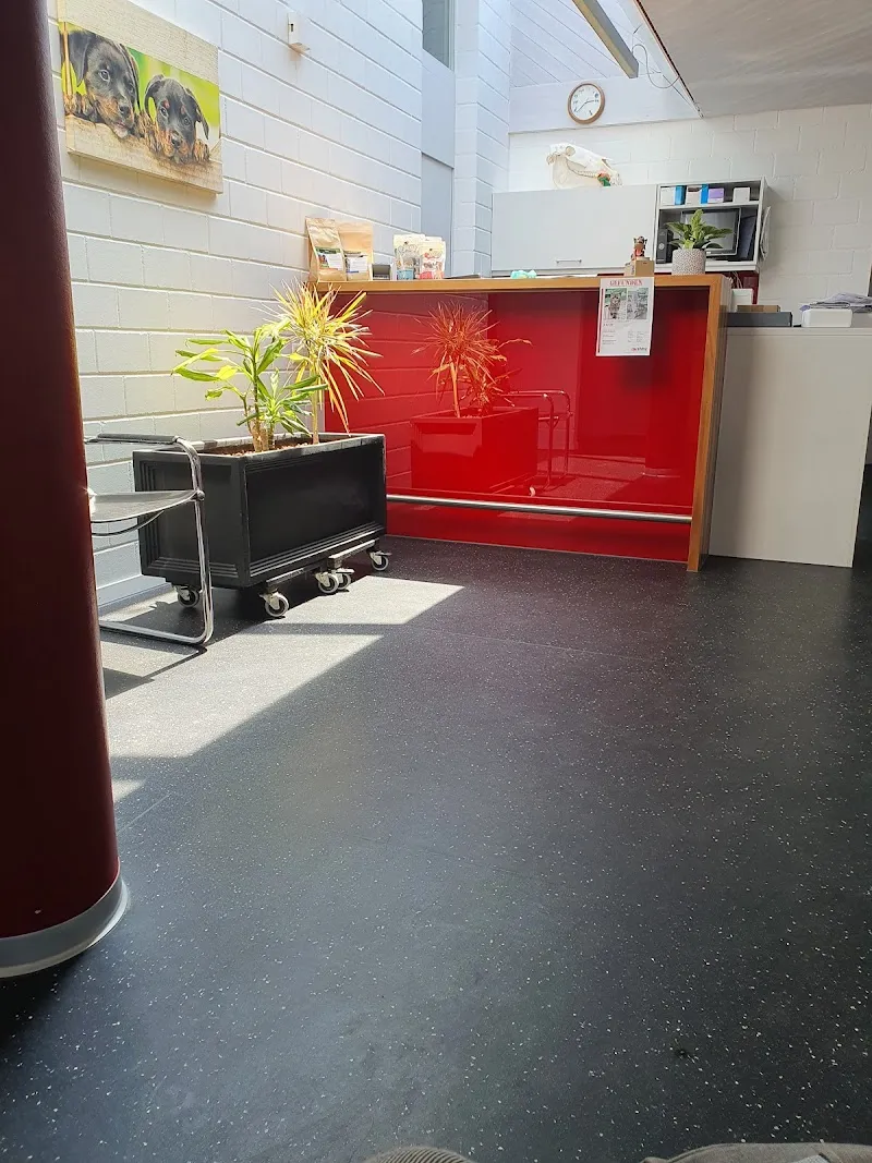 Tierärztliche Gemeinschaftspraxis Zücken AG — Tierarzt in Ruswil, Luzern. Bewertung 4.9/5.