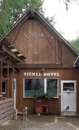 Tierlihotel: Hunde und Katzen - Tages- und Ferienplätze — Katzenpension, Himmelried, Solothurn. Foto 3