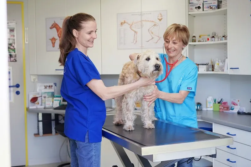 VetTrust Kleintierpraxis Eschenbach — Veterinarian, Eschenbach, Lucerne. Foto 2