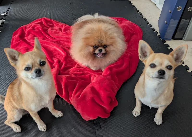 VetTrust Kleintierpraxis Eschenbach — Veterinarian, Eschenbach, Lucerne. Foto 3