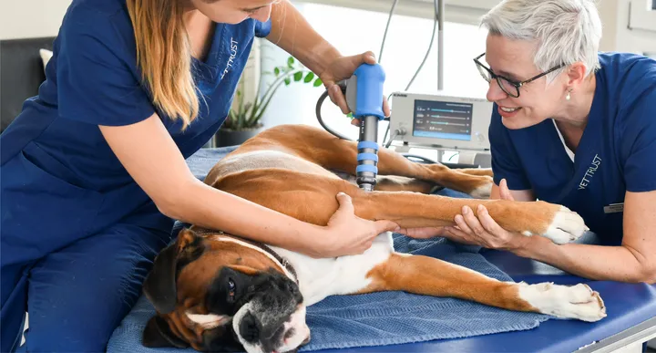 VetTrust Tierklinik Basel — Tierarzt, Münchenstein, Basel-Landschaft. Foto 2