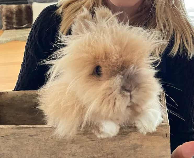 Veterinärdienst Kanton Luzern — Tierheim in Luzern, Luzern. Bewertung 3.0/5.