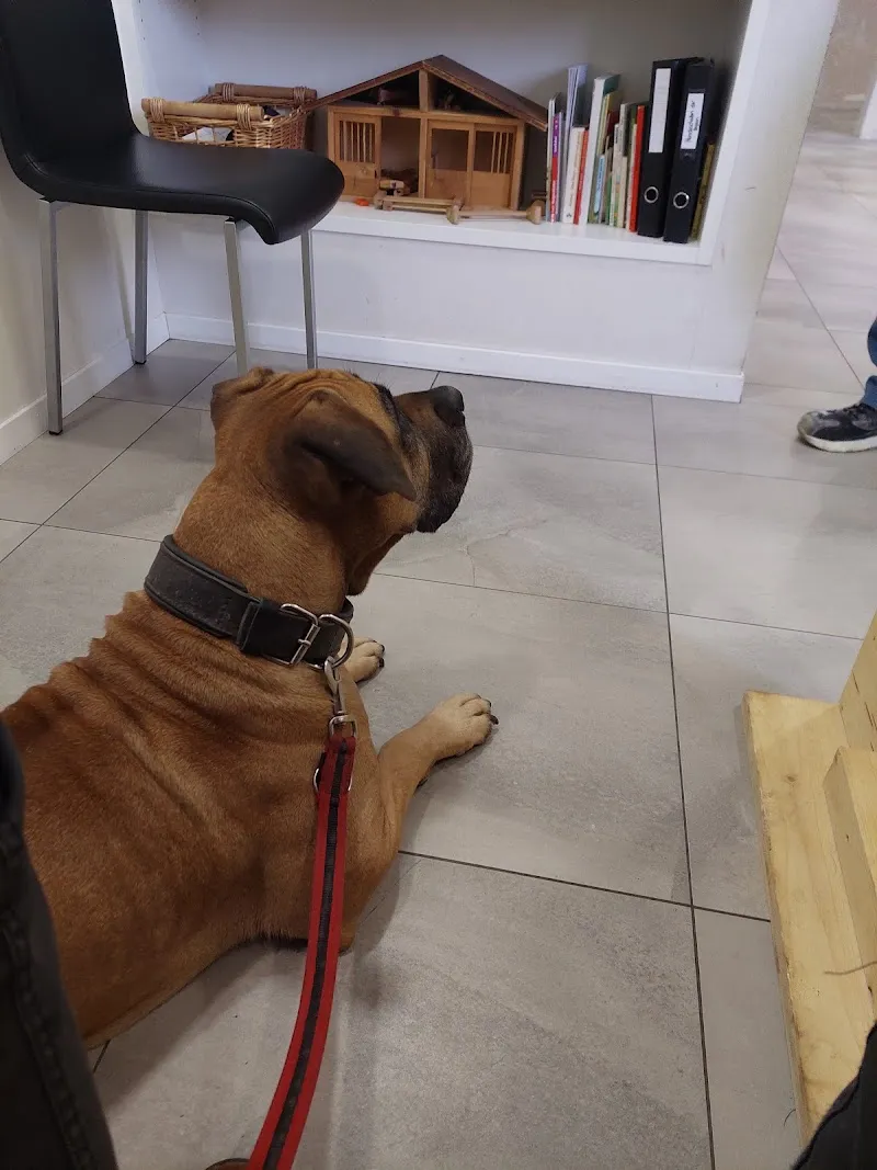 Vetteam, tierärztliche Praxisgemeinschaft AG, Tierarztpraxis zur Buchwigger — Tierarzt, Willisau, Luzern. Foto 2