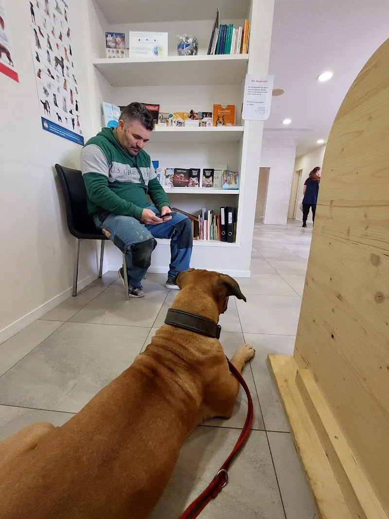 Vetteam, tierärztliche Praxisgemeinschaft AG, Tierarztpraxis zur Buchwigger — Tierarzt, Willisau, Luzern. Foto 3