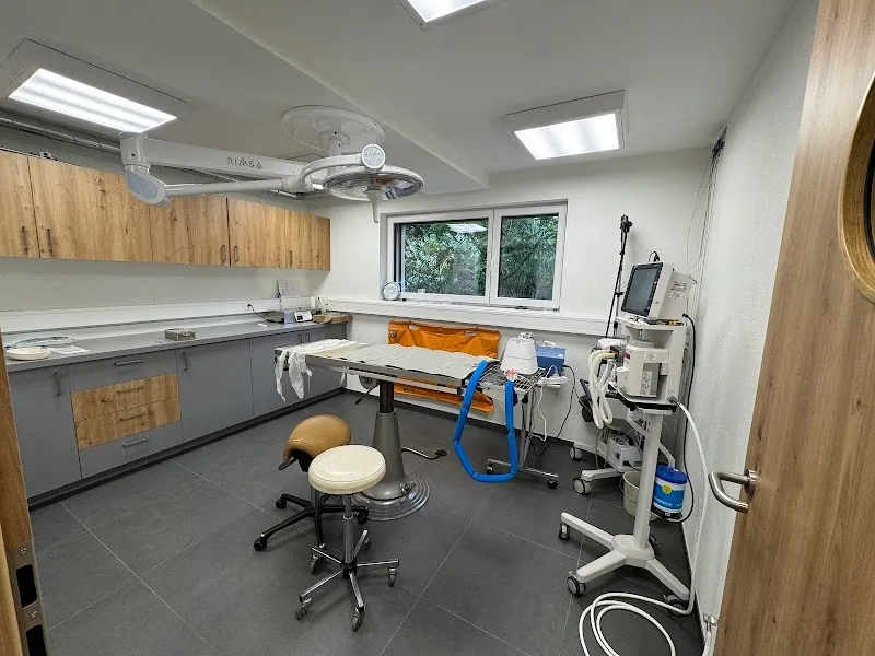 Amivet Sàrl — Vétérinaire, Colombier, Neuchâtel. Foto 2