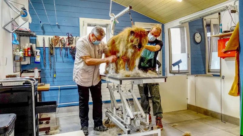 Tierpension Lanzenen — Katzenpension in Interlaken, Bern. Bewertung 4.7/5.