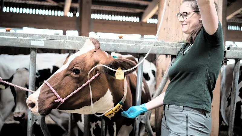 Cabinet vétérinaire des montagnes — Tierarzt, La Chaux-de-Fonds, Neuenburg. Foto 2
