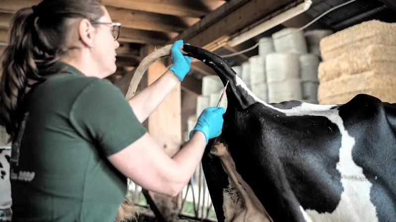 Cabinet vétérinaire des montagnes — Tierarzt, La Chaux-de-Fonds, Neuenburg. Foto 3