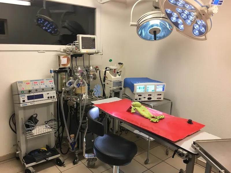 Cabinet vétérinaire du Breuil — Veterinarian, Boudevilliers, Neuchatel. Foto 2