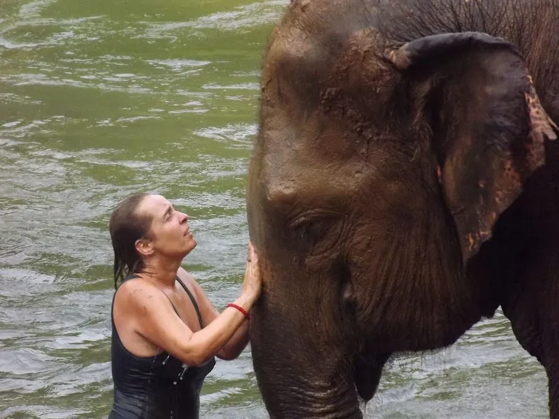 CléAnimale — Tierdienste in Neuchâtel, Neuenburg. Bewertung 5.0/5.