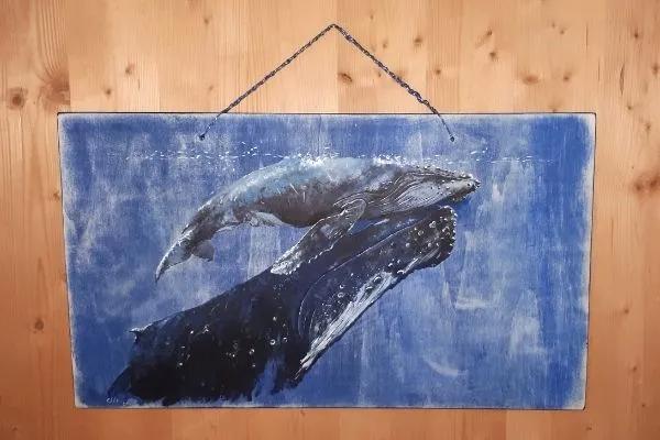 CléAnimale — Tierdienst, Neuchâtel, Neuenburg. Foto 2