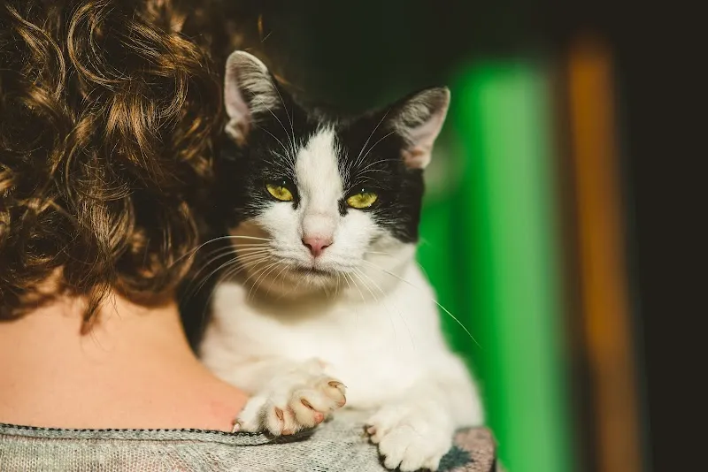 Gamavet — Tierarzt, Le Locle, Neuenburg. Foto 2