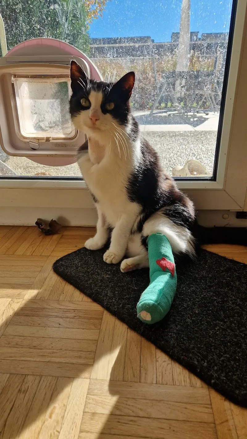 Gamavet — Tierarzt, Le Locle, Neuenburg. Foto 3