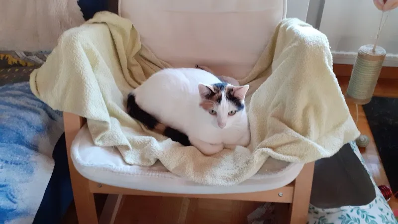 Gilliard Thérèse cabinet vétérinaire Anima — Tierarzt, Chézard-Saint-Martin, Neuenburg. Foto 3