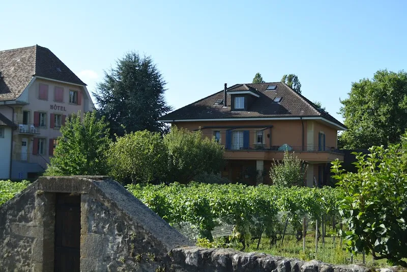 Matile vétérinaire — Vétérinaire, Cortaillod, Neuchâtel. Foto 2