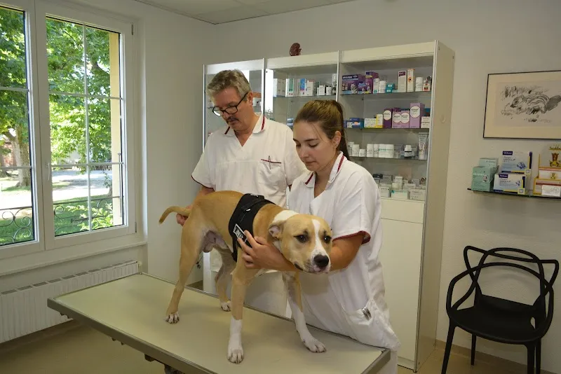 Matile vétérinaire — Vétérinaire, Cortaillod, Neuchâtel. Foto 3