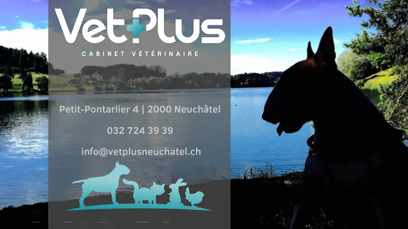 VetPlus - Cabinet Vétérinaire Neuchâtel — Vétérinaire, Neuchâtel, Neuchâtel. Foto 2