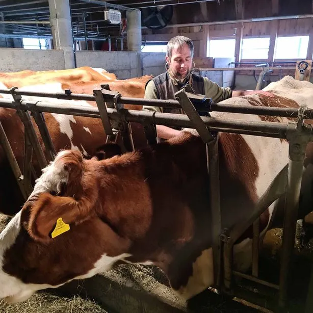 Anisano Mobile Tierarztpraxis — Tierarzt, Brienz, Bern. Foto 3