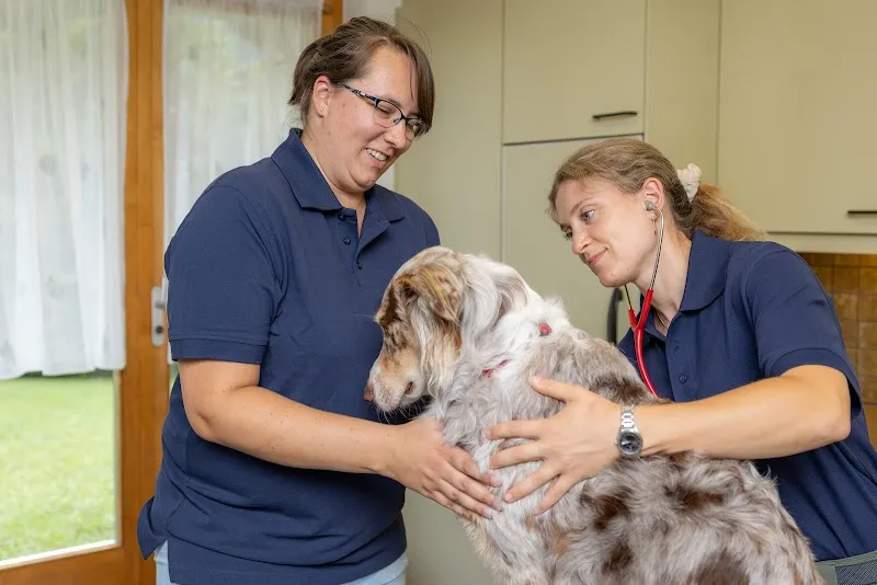 Tierarztpraxis BeoVet AG (Standort Meiringen) — Tierarzt, Meiringen, Bern. Foto 2