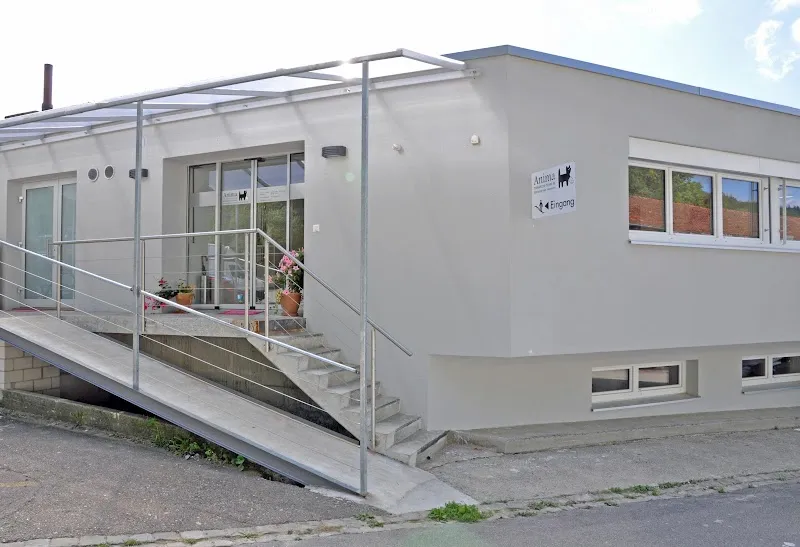 Anima Tierärzte-Team AG Beringen — Veterinarian, Beringen, Schaffhausen. Foto 2
