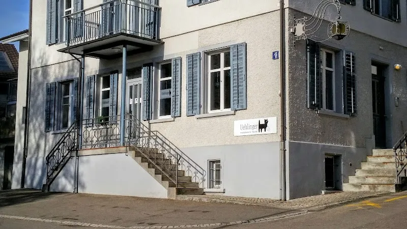 Anima Tierärzte-Team Praxis Thayngen — Vétérinaire, Thayngen, Schaffhouse. Foto 3