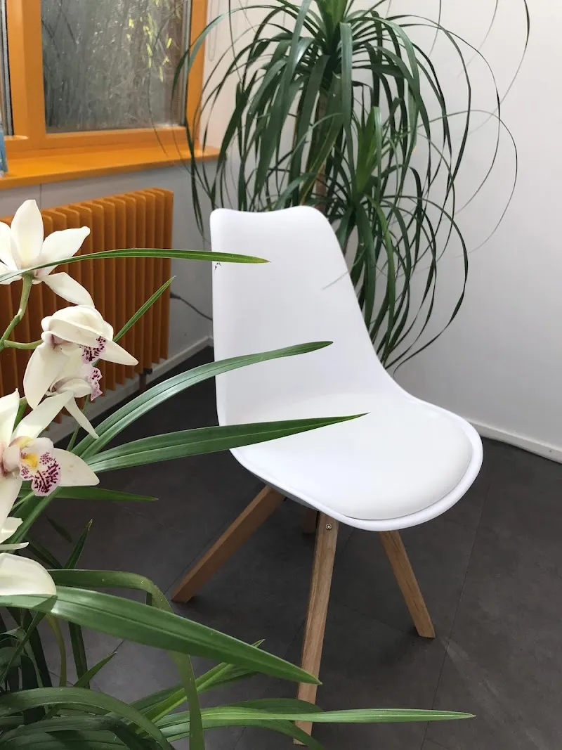 Kleintierpraxis Rhenus — Tierarzt in Stein am Rhein, Schaffhausen. Bewertung 4.3/5.