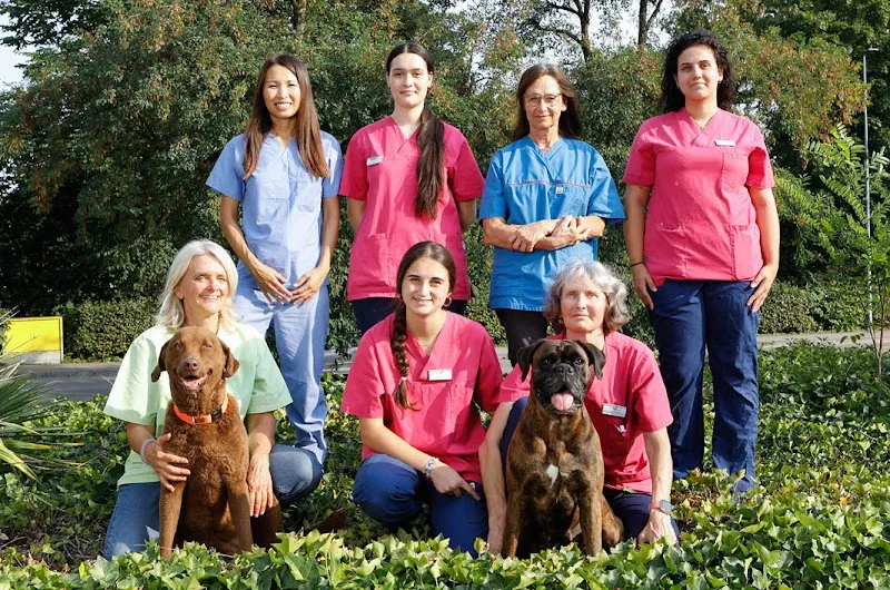 MeikoVet Tierklinik Steig-Breite — Tierarzt in Schaffhausen, Schaffhausen. Bewertung 4.6/5.