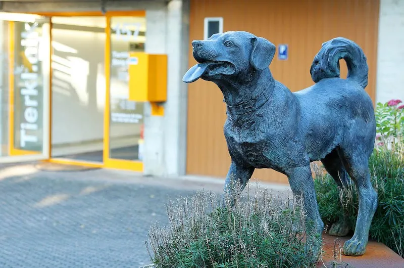 MeikoVet Tierklinik Steig-Breite — Vétérinaire, Schaffhausen, Schaffhouse. Foto 3