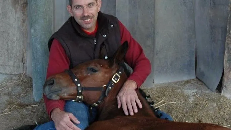 Tierarztpraxis GST Zur Linde — Tierarzt in Oberstammheim, Zürich. Bewertung 5.0/5.